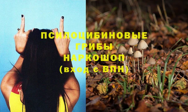 метадон Арсеньев