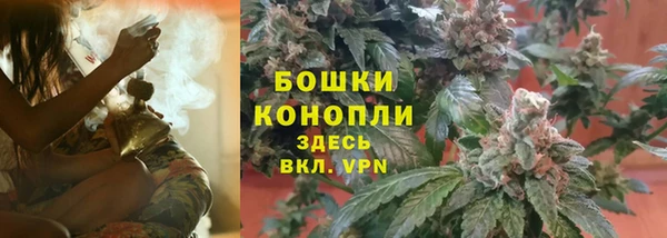 метадон Арсеньев