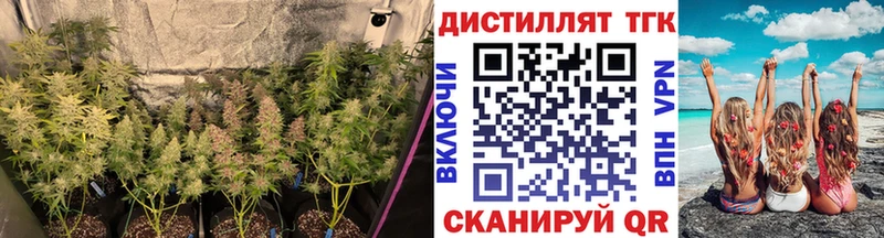 Дистиллят ТГК вейп  Очёр 